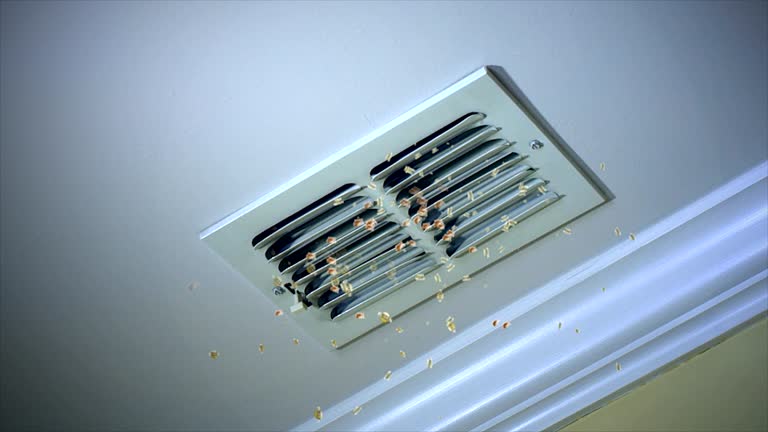 Best Residential Air Duct Cleaning  in Gorman, TX