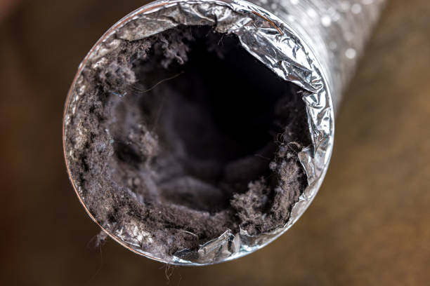Best Ductwork Cleaning Services  in Gorman, TX